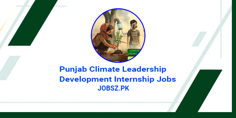 CM Punjab Climate Leadership Development Internship Jobs 2024