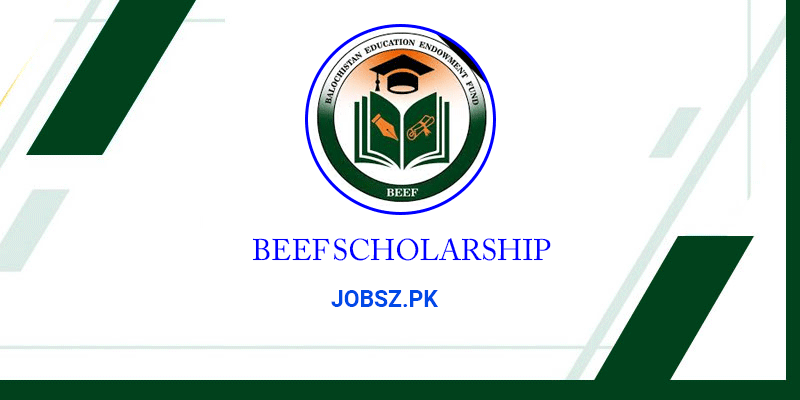 BEEF Scholarship