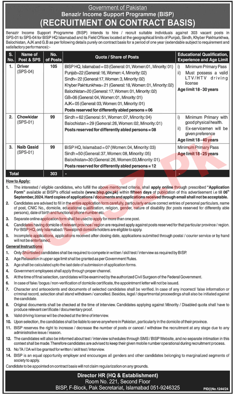 BISP Jobs 2024 Advertisement